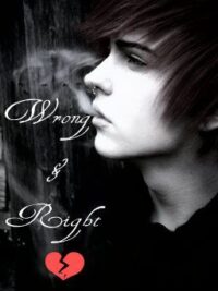 Cover image of Wrong and Right[BOYxBOY] 2013
