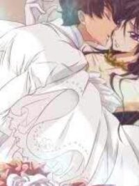 Cover image of You may now kiss the bride- SuzaLulu (BOYXBOY)
