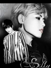 Cover image of Silly ( Boyxboy )
