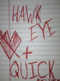 Cover image of Hawksilver (boyxboy)