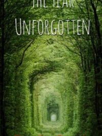 Cover image of The Year Unforgotten (BOYxBOY)