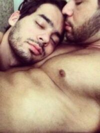 Cover image of The Hybrid’s Love Story (boyxboy)