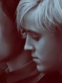 Cover image of Drarry (boyxboy) (SAD!)